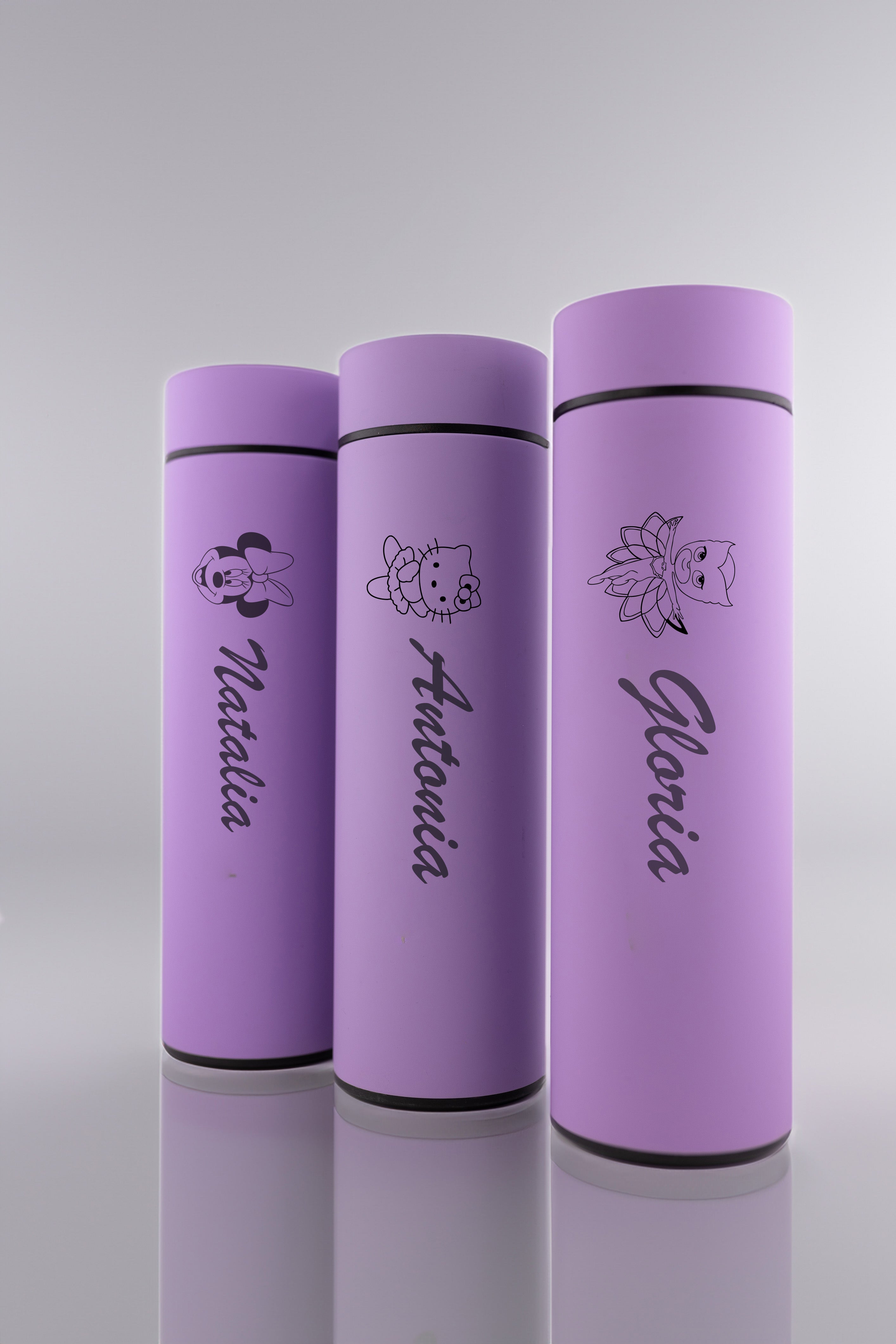 Sticla Termos pentru Copii -Filtero PRO™-500 ml