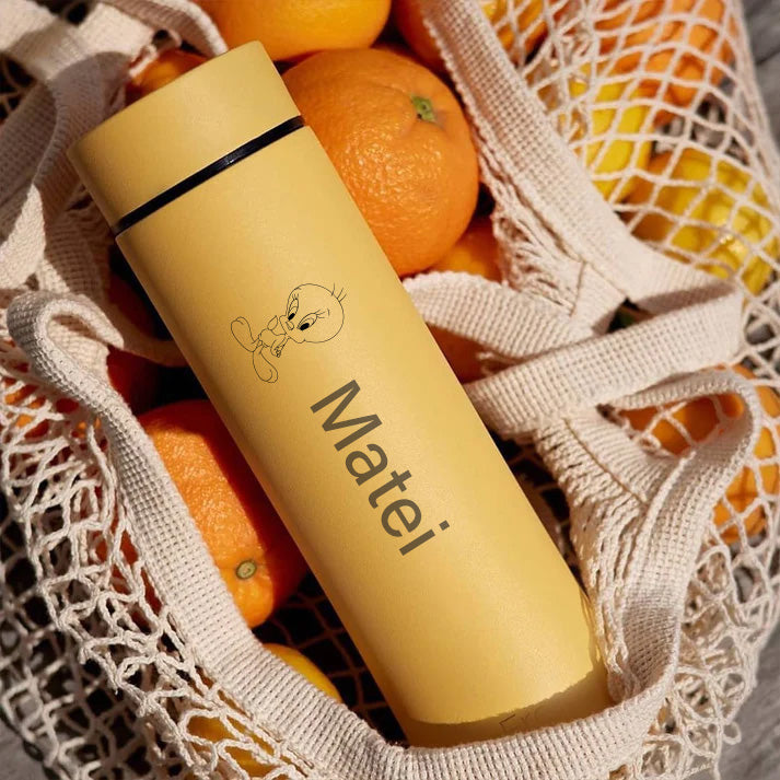 Sticla Termos pentru Copii -Filtero PRO™-500 ml